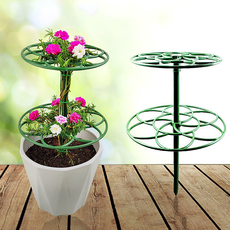 Bonsai Garden Stand - Nuovo Supporto per Piante Rampicanti in