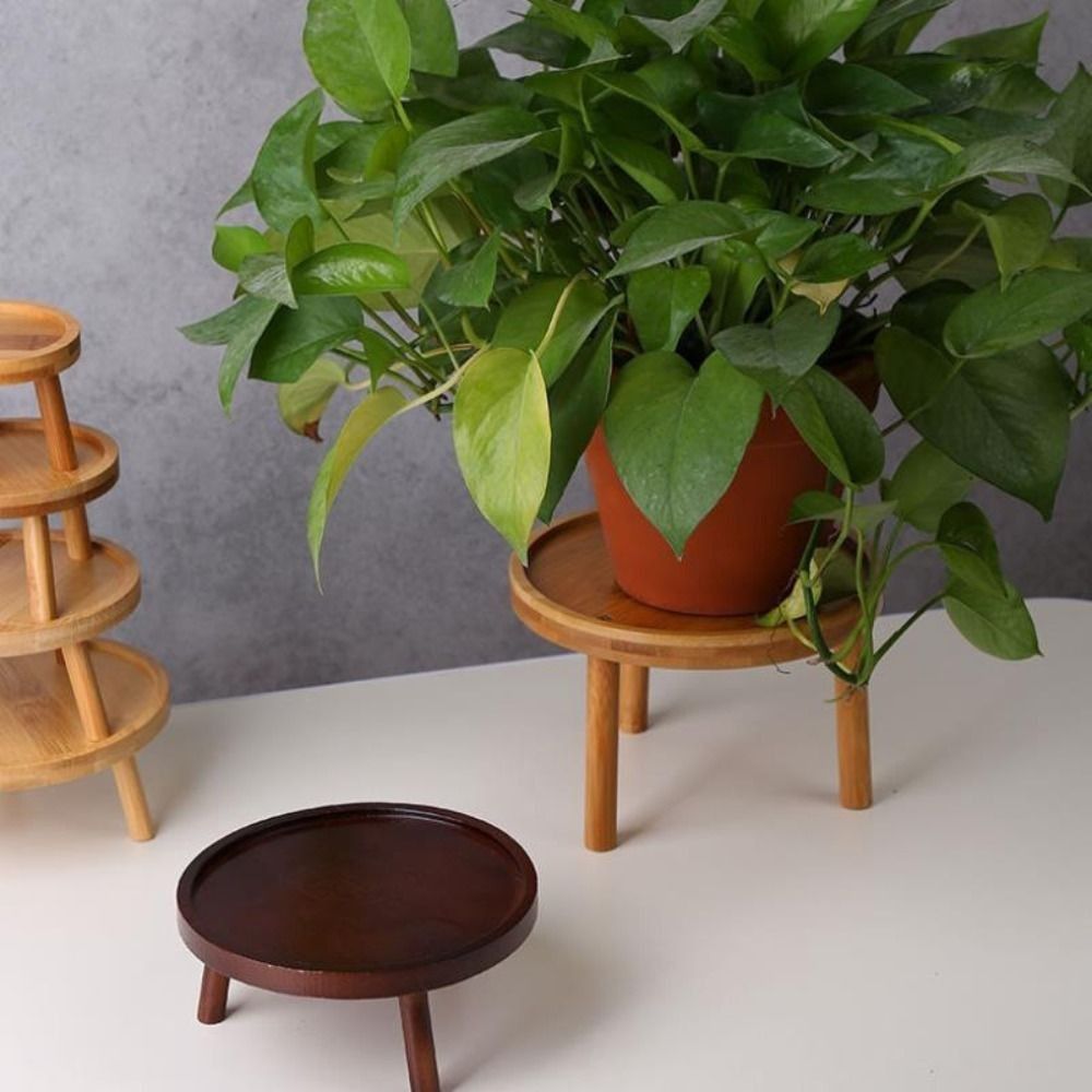 Bonsai Garden Stand - Vaso Creativo Solido per Piante Grasse,