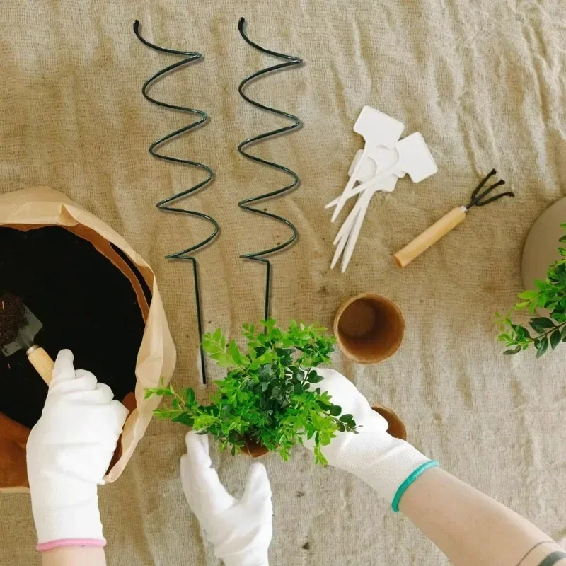 Supporto per Piante Rampicanti - Bonsai Garden Stand recensione e prezzo