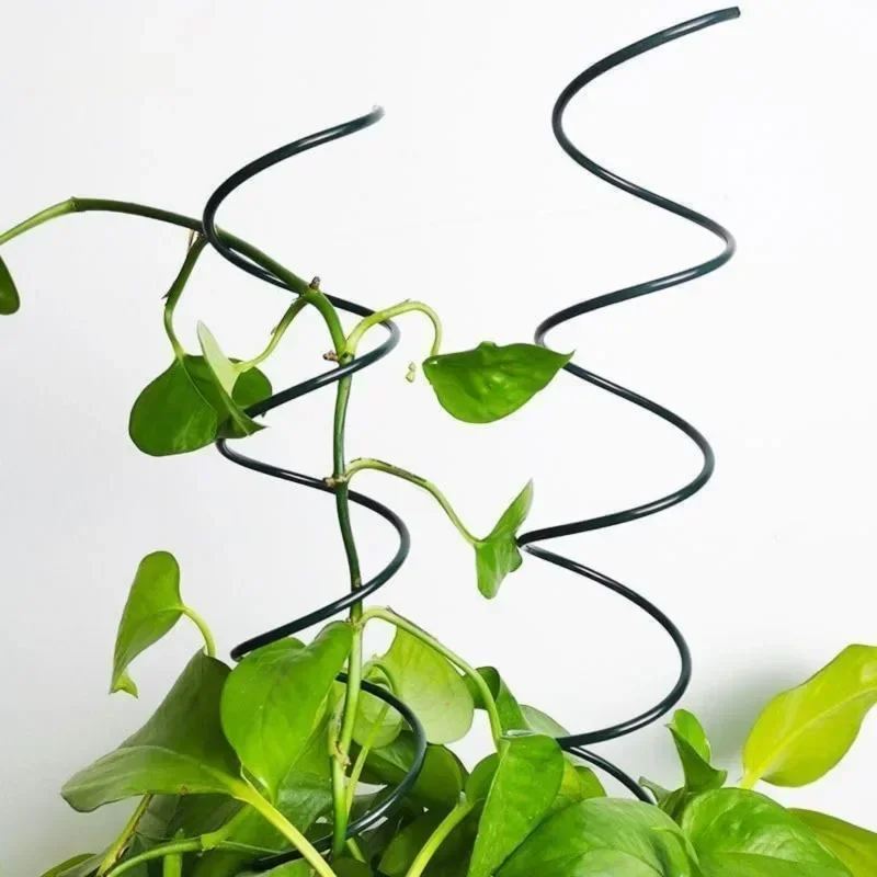 Supporto per Piante Rampicanti - Bonsai Garden Stand recensione e prezzo