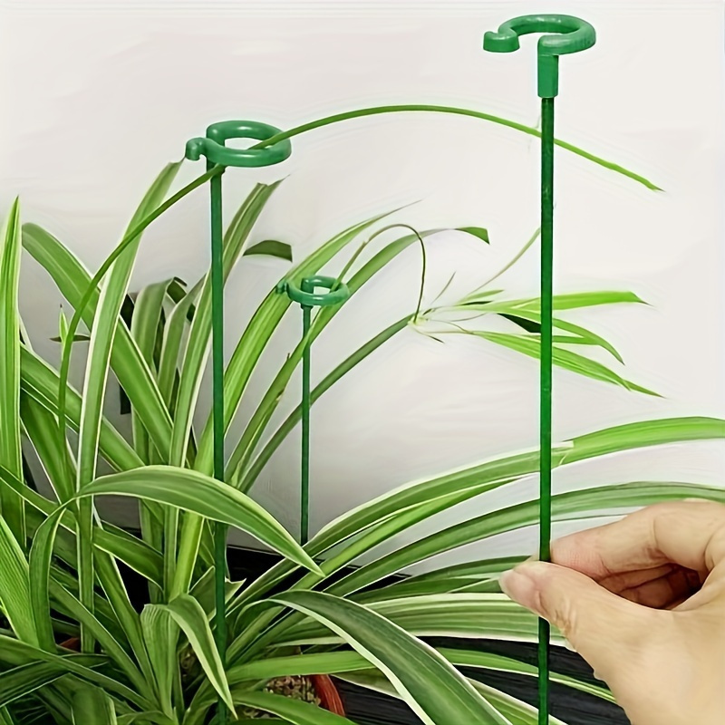 Set di 6 Supporti per Piante i - Bonsai Garden Stand recensione e prezzo