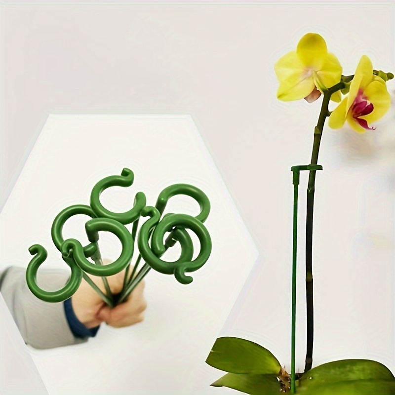 Set di 6 Supporti per Piante i - Bonsai Garden Stand recensione e prezzo