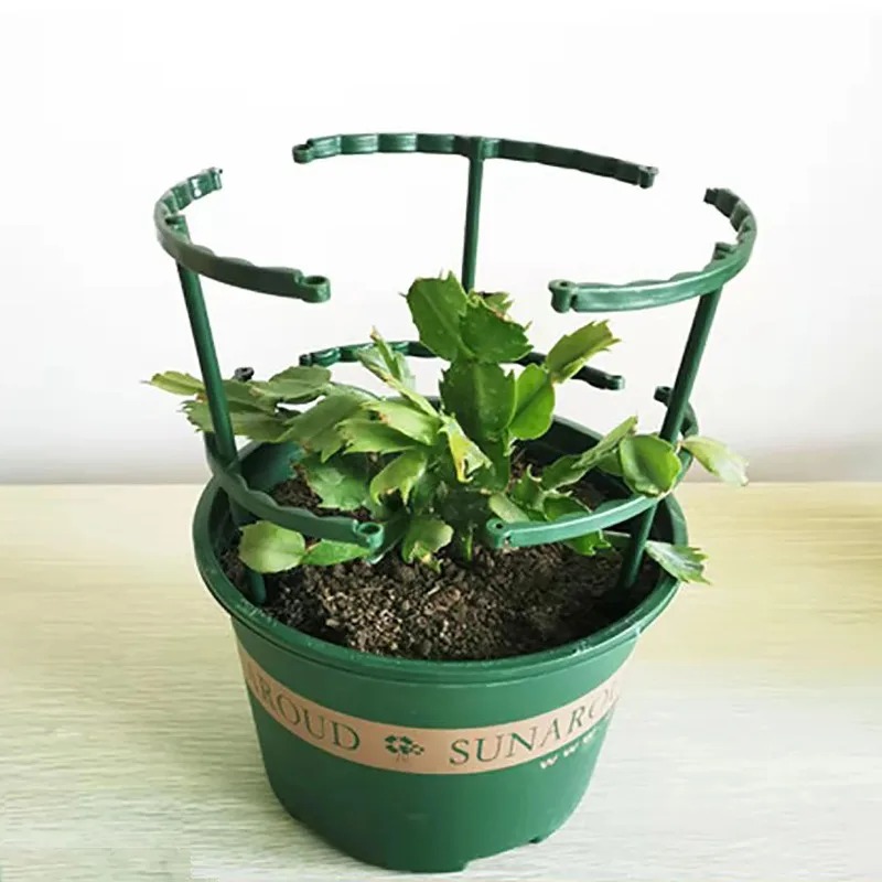4 Pezzi Supporto in Plastica p - Bonsai Garden Stand recensione e prezzo