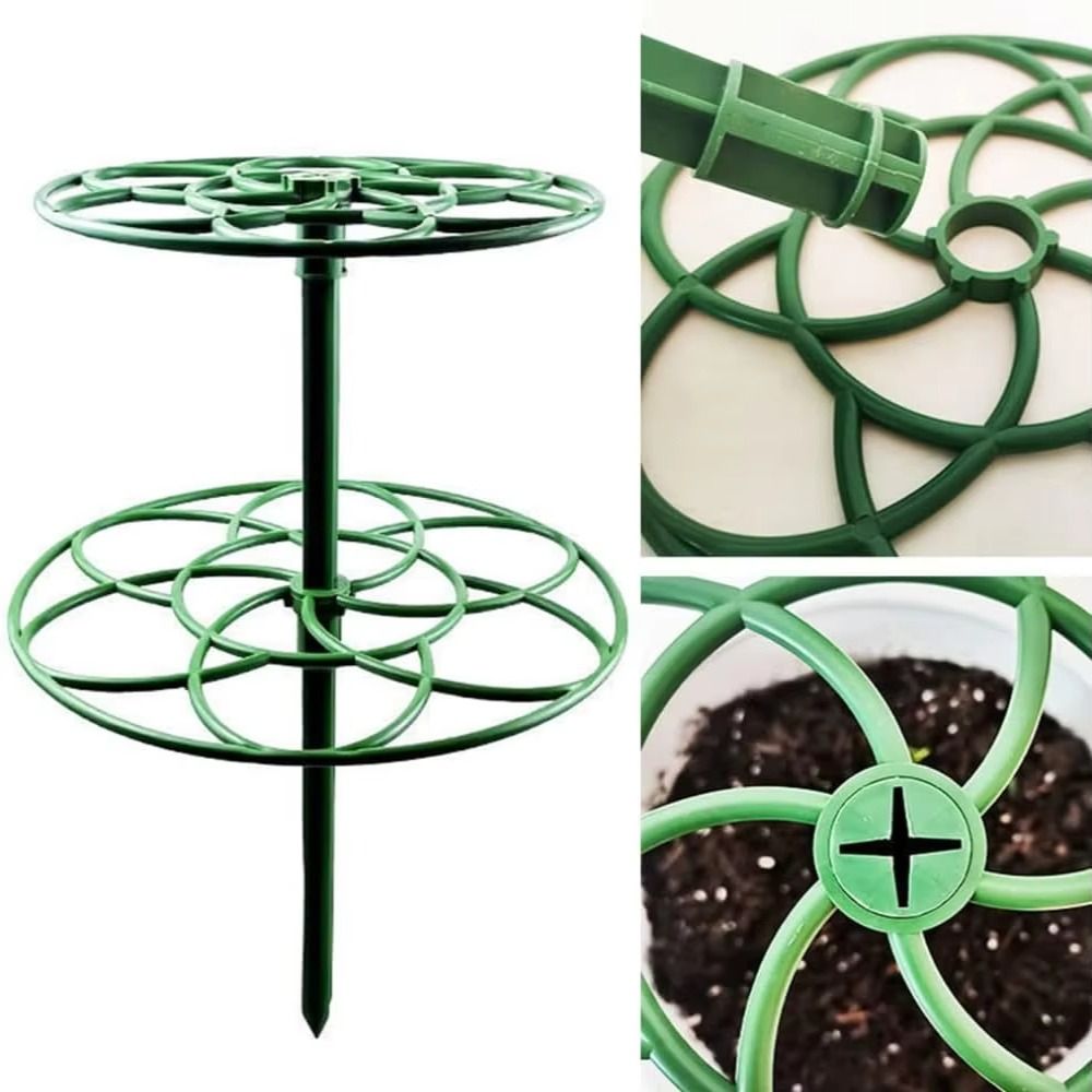 Nuovo Supporto per Bonsai Impi - Bonsai Garden Stand recensione e prezzo