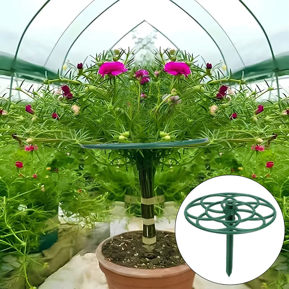 Nuovo Supporto per Bonsai Impi - Bonsai Garden Stand recensione e prezzo