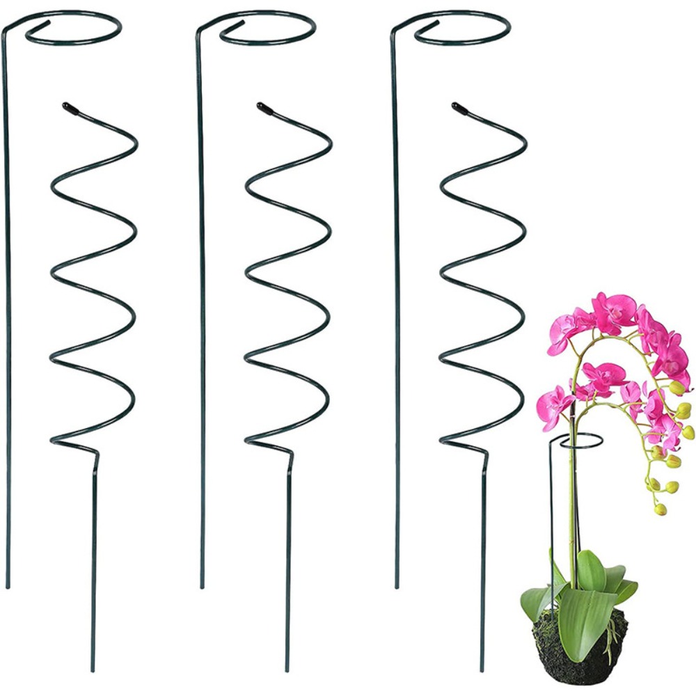 Nuovo Asta di Fissaggio Pianta - Bonsai Garden Stand recensione e prezzo