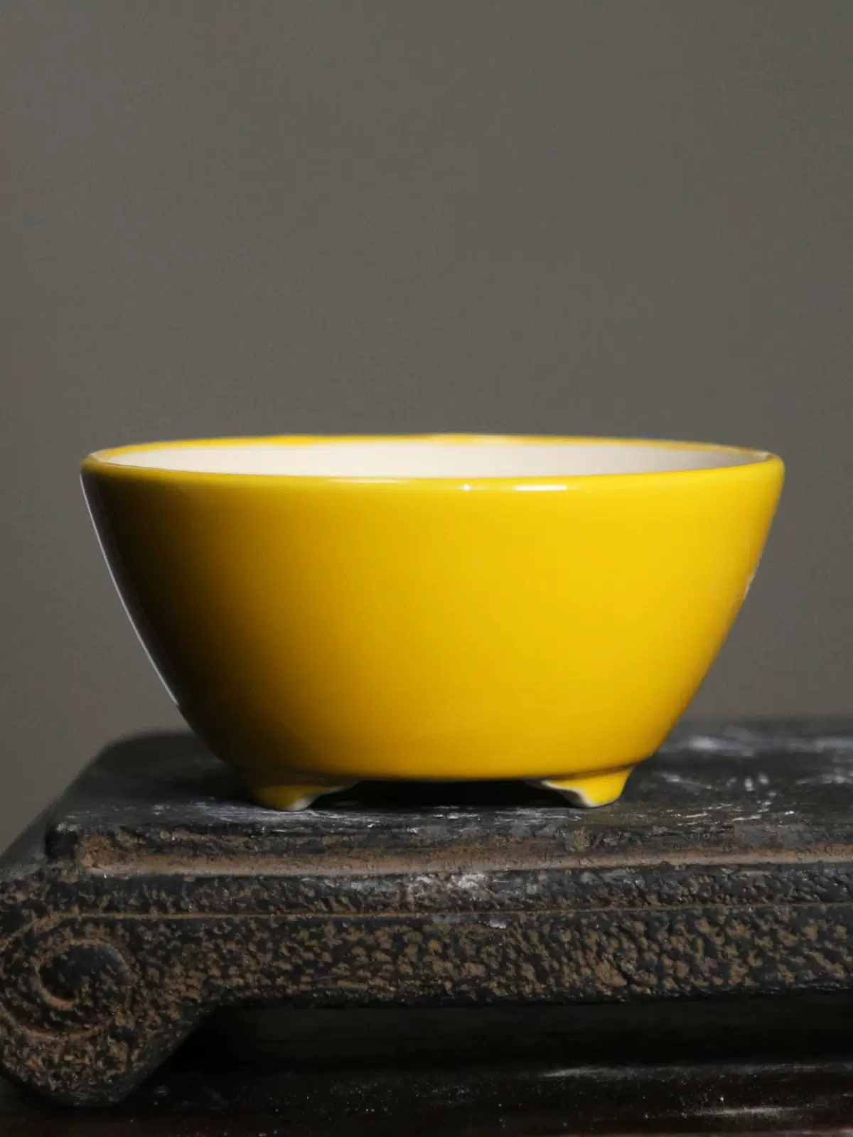 Vaso per bonsai rotondo colora - Bonsai Garden For Desk recensione e prezzo