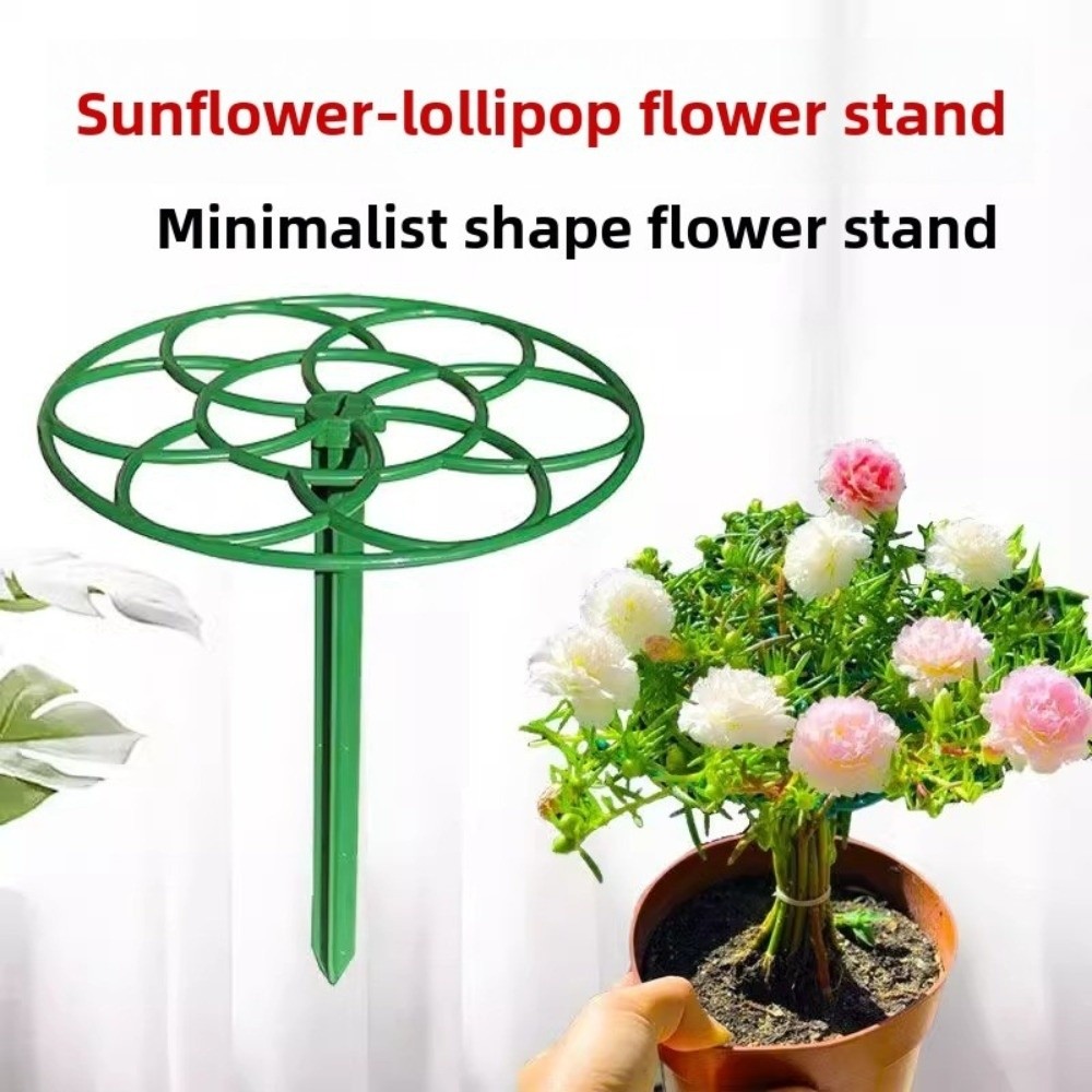 Supporto per Bonsai S/M/L, Gab - Bonsai Garden Stand recensione e prezzo