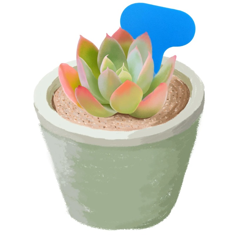 50 Pezzi Etichette per Piante  - Bonsai Garden Ticket recensione e prezzo