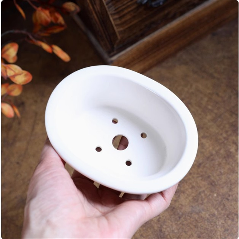 Vaso per bonsai ovale bianco i - Bonsai Garden For Desk recensione e prezzo