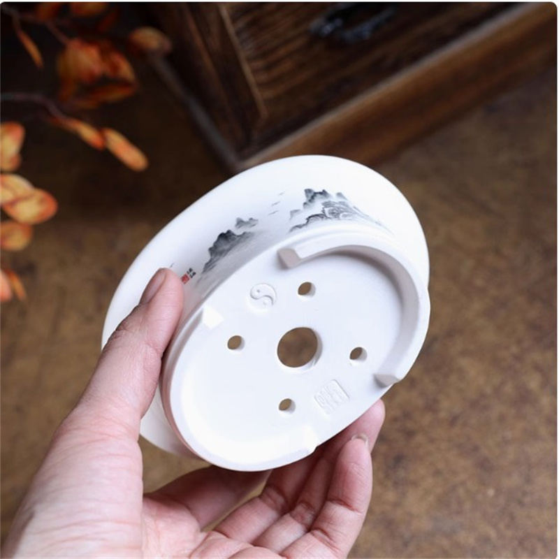 Vaso per bonsai ovale bianco i - Bonsai Garden For Desk recensione e prezzo