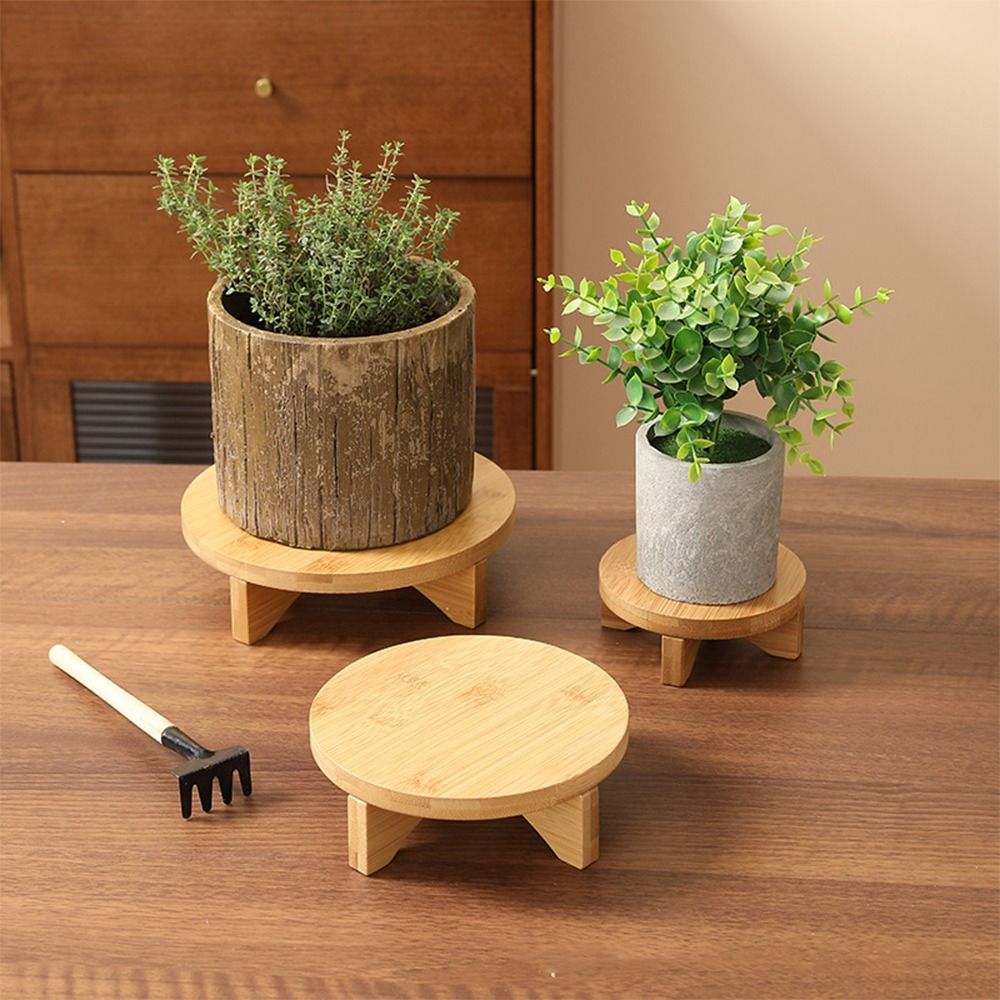 Espositore per bonsai in legno - Bonsai Garden Stand recensione e prezzo