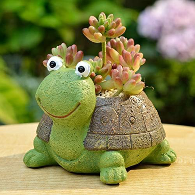 Cute Turtle Planter succulente - Bonsai Garden For Desk recensione e prezzo