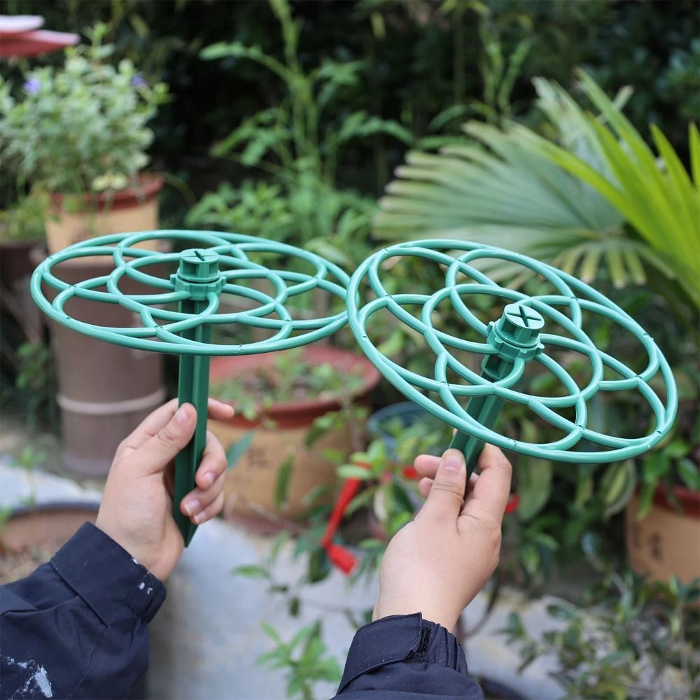 S/M/L Giardino di Plastica Imp - Bonsai Garden Stand recensione e prezzo