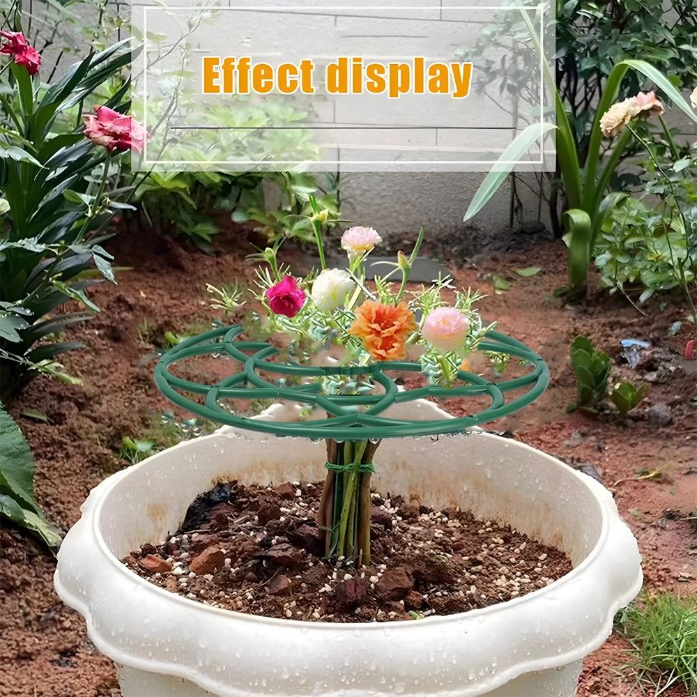 S/M/L Giardino di Plastica Imp - Bonsai Garden Stand recensione e prezzo
