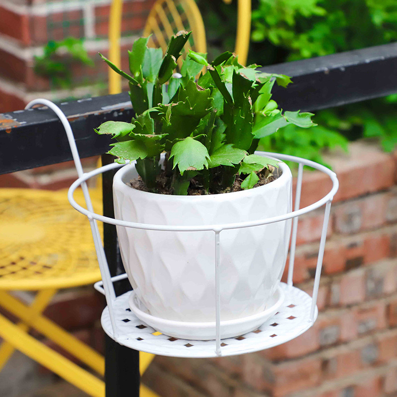 1 Pezzo Vaso da Giardino per E - Bonsai Garden Art recensione e prezzo