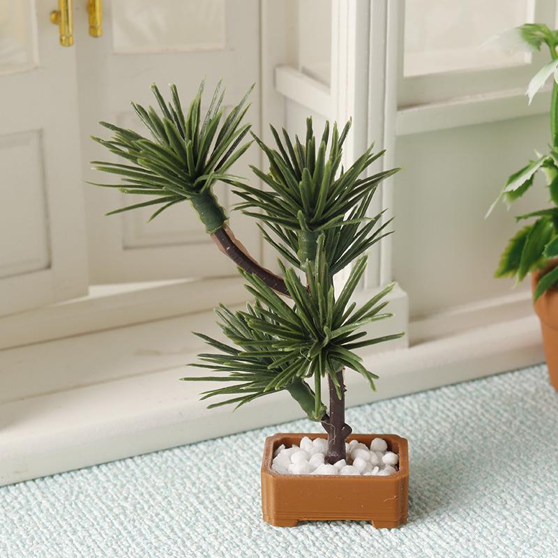 1 Pezzo Albero di Pino in Mini - Bonsai Gardener recensione e prezzo