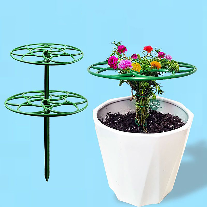 Nuovo Supporto per Piante Ramp - Bonsai Garden Stand recensione e prezzo