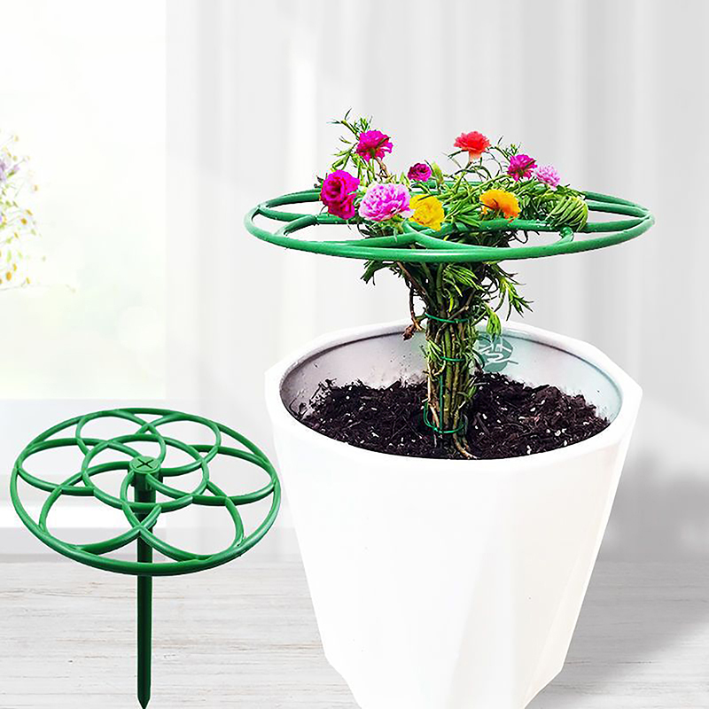 Nuovo Supporto per Piante Ramp - Bonsai Garden Stand recensione e prezzo