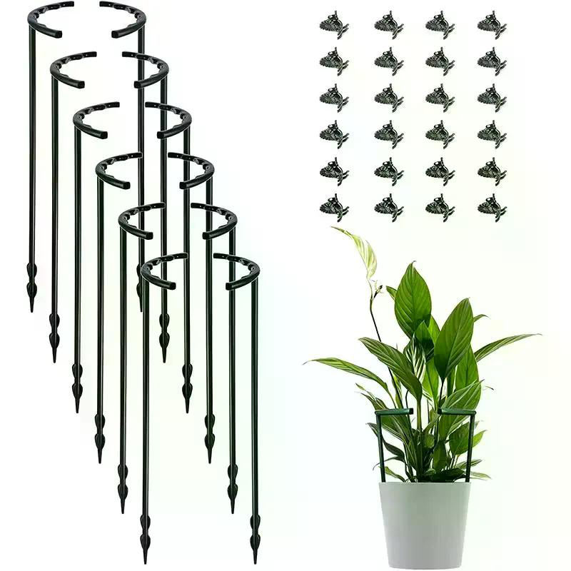 Gabbia di Supporto per Piante, - Bonsai Garden Stand recensione e prezzo