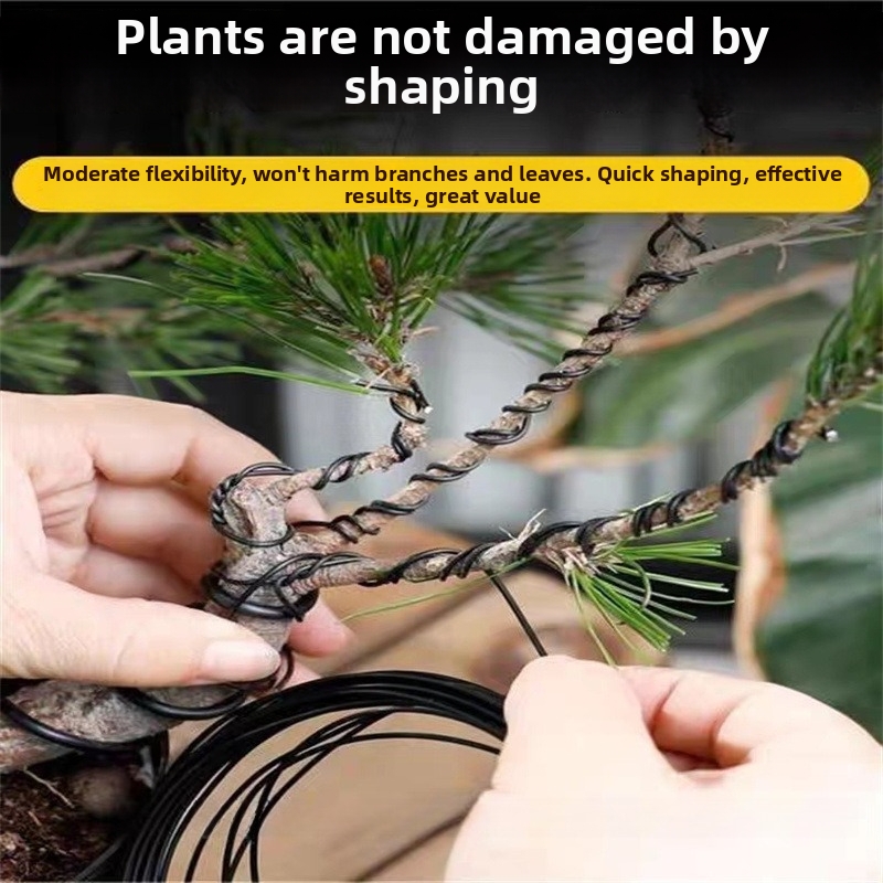 Fili per Bonsai da 1,5 mm in A - Bonsai Gardener recensione e prezzo