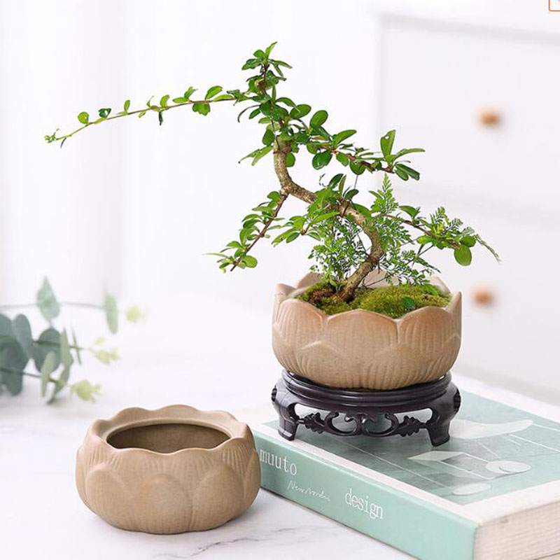 Vaso per piante verde loto in  - Bonsai Garden Art recensione e prezzo