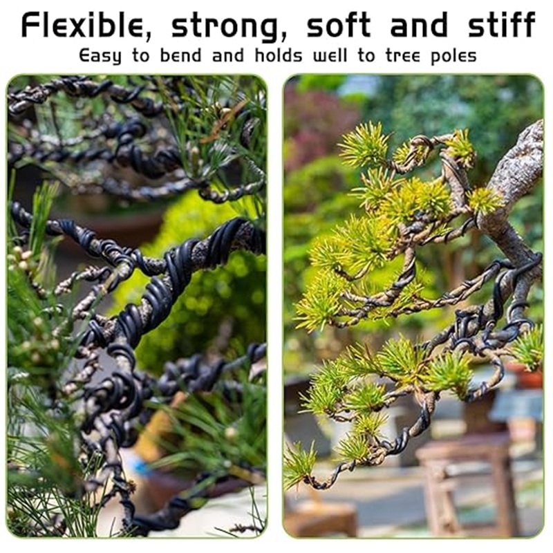 Filo per Bonsai in Alluminio N - Bonsai Garden Art recensione e prezzo