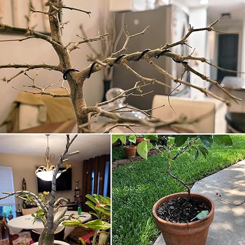 Filo per Bonsai in Alluminio N - Bonsai Garden Art recensione e prezzo