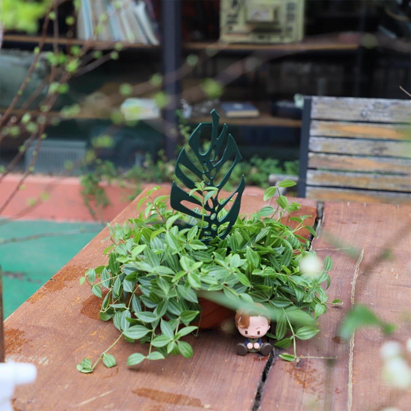 Supporto per piante rampicanti - Bonsai Garden Stand recensione e prezzo
