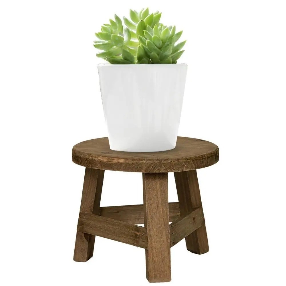 Espositore Moderno per Bonsai, - Bonsai Garden Stand recensione e prezzo