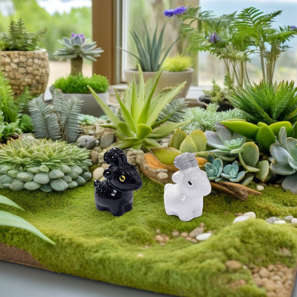 12 Pezzi di Piccole Decorazion - Bonsai Garden For Desk recensione e prezzo